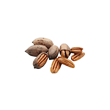 Bolsa nueces pecan "Coop. Villa Parquecito" x 10kg.