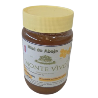 Miel x 500 gr "Monte vivo"